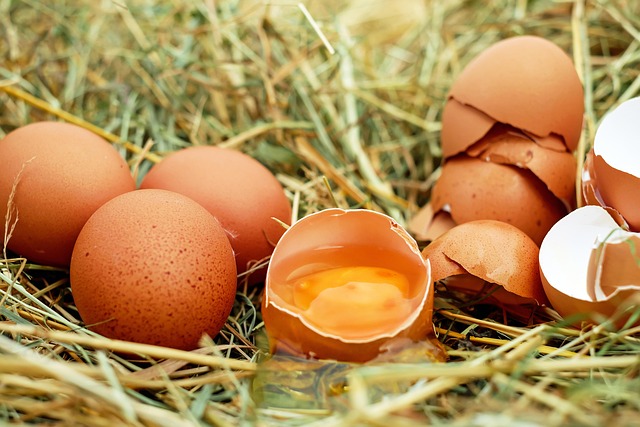 Huevos B Medianos